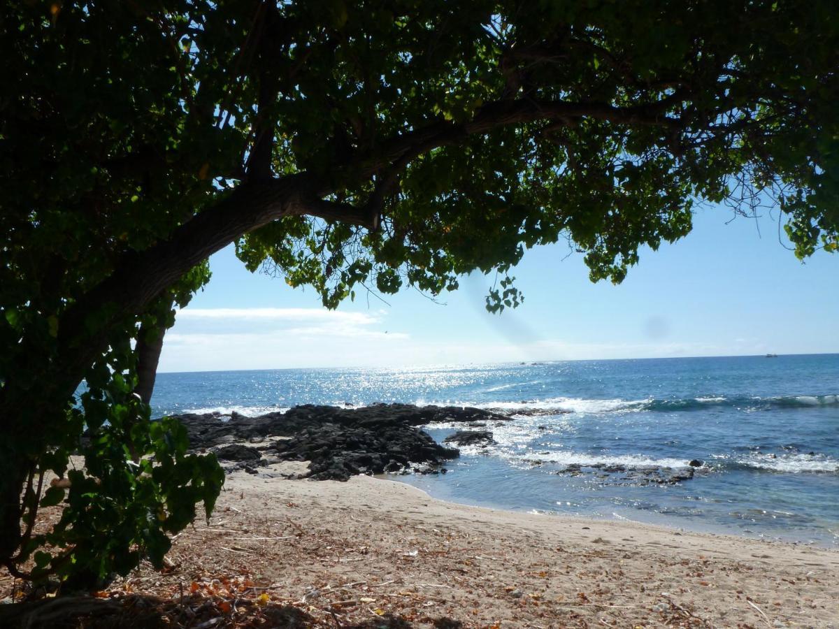 Downtown Hawaiian Paradise Condo With Hot Tub, Pool & Beach - Kona Islander Inn Kailua-Kona Dış mekan fotoğraf